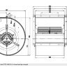 D4E250-CA01-2.jpg