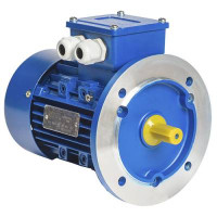 Электродвигатель АИР 200L8 22 кВт 750 об/мин с большим фланцем