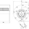 D2E097-CH-2.jpg
