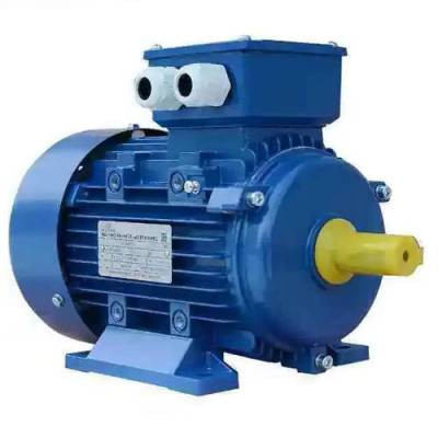 Электродвигатель АИР 100L8 1,5 кВт 750 об/мин на лапах