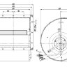 D4D225-CC01-2.jpg