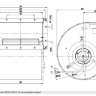 D4E225-BC01-2.jpg