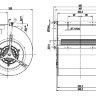 D4D225-FH02-2.jpg