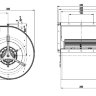 D4D250-CA02-2.jpg
