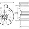 D4D225-CA02-3.jpg